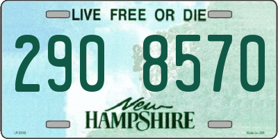 NH license plate 2908570