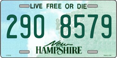 NH license plate 2908579