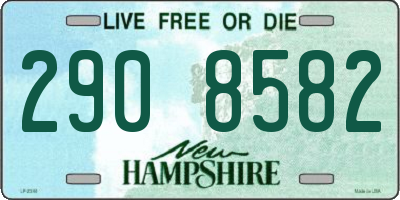 NH license plate 2908582
