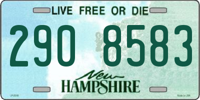 NH license plate 2908583
