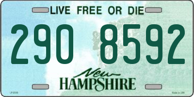 NH license plate 2908592