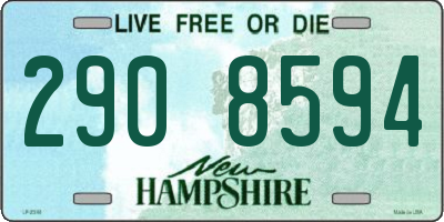 NH license plate 2908594