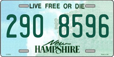 NH license plate 2908596