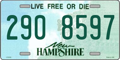 NH license plate 2908597