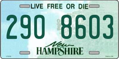 NH license plate 2908603