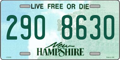NH license plate 2908630