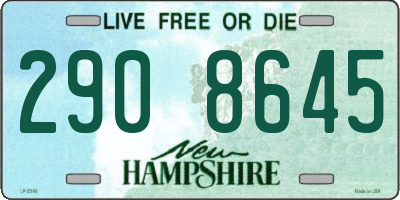 NH license plate 2908645