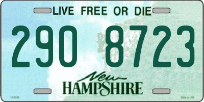NH license plate 2908723