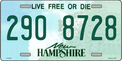 NH license plate 2908728