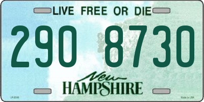 NH license plate 2908730