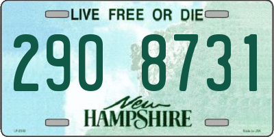 NH license plate 2908731