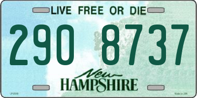 NH license plate 2908737