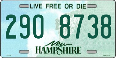 NH license plate 2908738