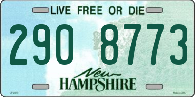 NH license plate 2908773