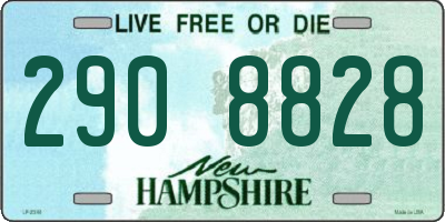 NH license plate 2908828