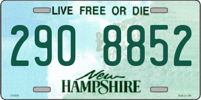 NH license plate 2908852