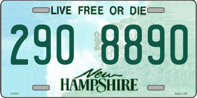 NH license plate 2908890