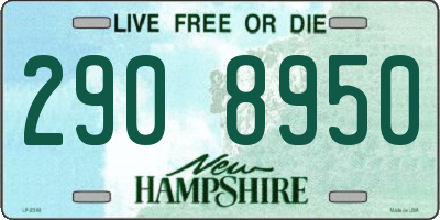 NH license plate 2908950