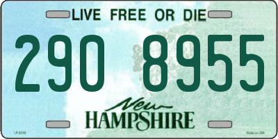 NH license plate 2908955