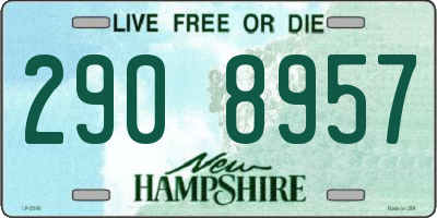 NH license plate 2908957