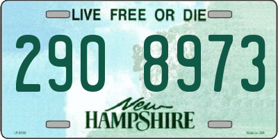 NH license plate 2908973