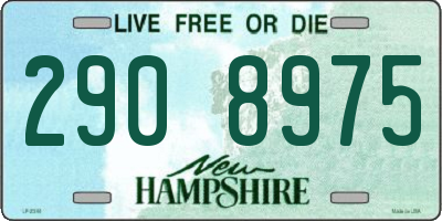 NH license plate 2908975