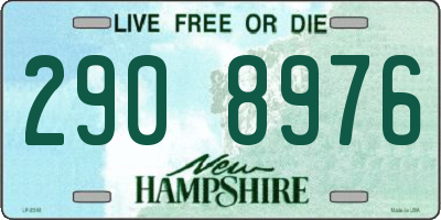 NH license plate 2908976