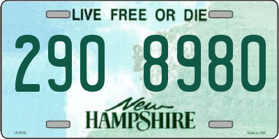 NH license plate 2908980