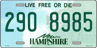 NH license plate 2908985