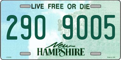 NH license plate 2909005