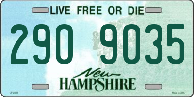 NH license plate 2909035