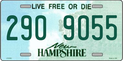 NH license plate 2909055