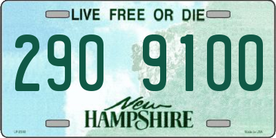 NH license plate 2909100