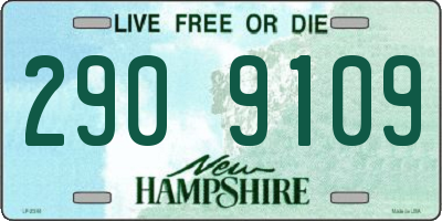 NH license plate 2909109