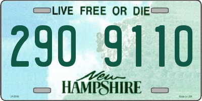NH license plate 2909110