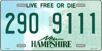 NH license plate 2909111