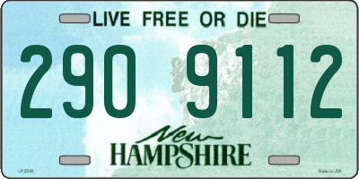 NH license plate 2909112