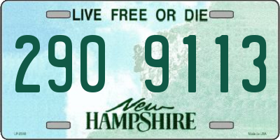 NH license plate 2909113