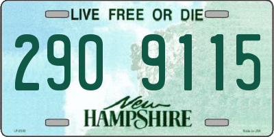 NH license plate 2909115