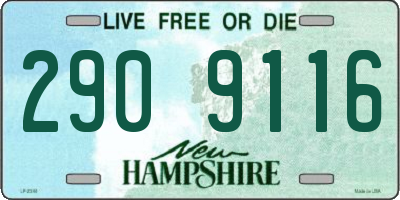NH license plate 2909116