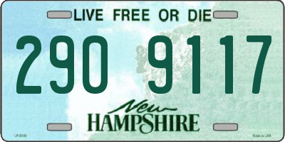 NH license plate 2909117