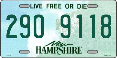 NH license plate 2909118