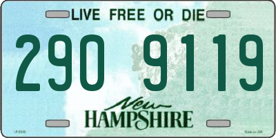 NH license plate 2909119