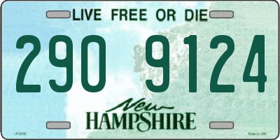 NH license plate 2909124