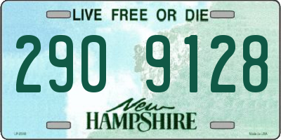 NH license plate 2909128