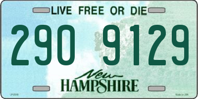 NH license plate 2909129