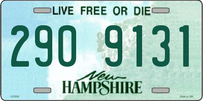 NH license plate 2909131