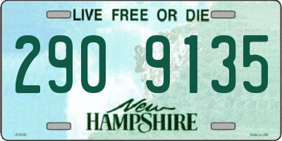 NH license plate 2909135