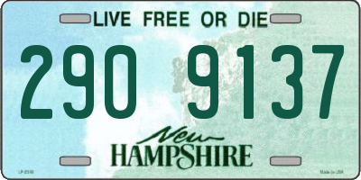 NH license plate 2909137