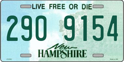 NH license plate 2909154